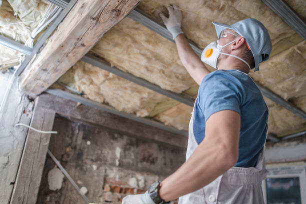 Best Types of Insulation in Boscobel, WI