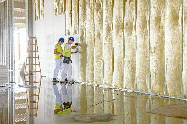 Best Commercial Insulation in Boscobel, WI